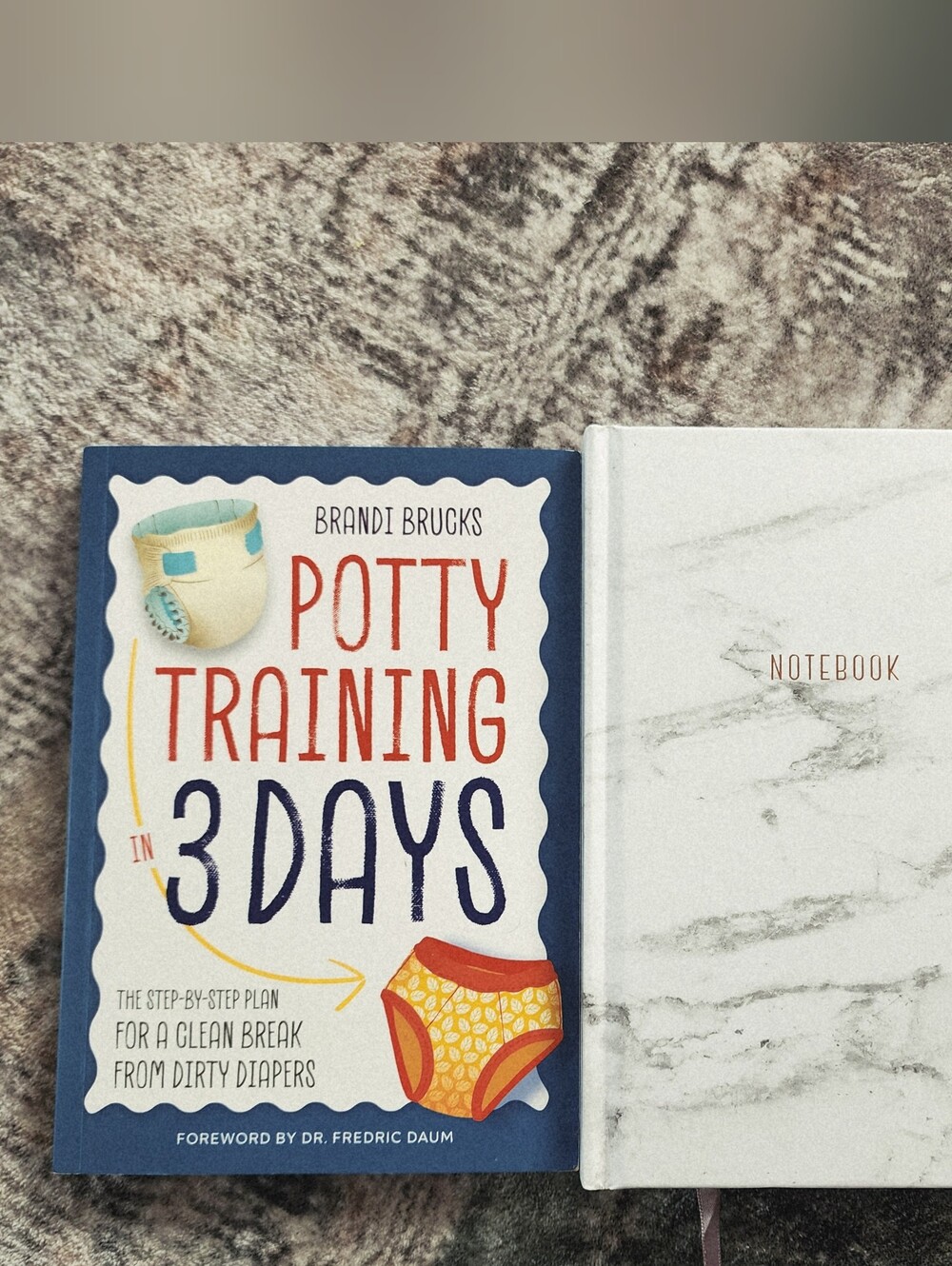 Potty Training in 3 Days by Brandi Brucks - Navy, White & Red Cover